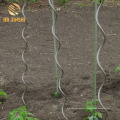 Carton Package Low Carbon Steel Wire Tomato Support in Cheap Price